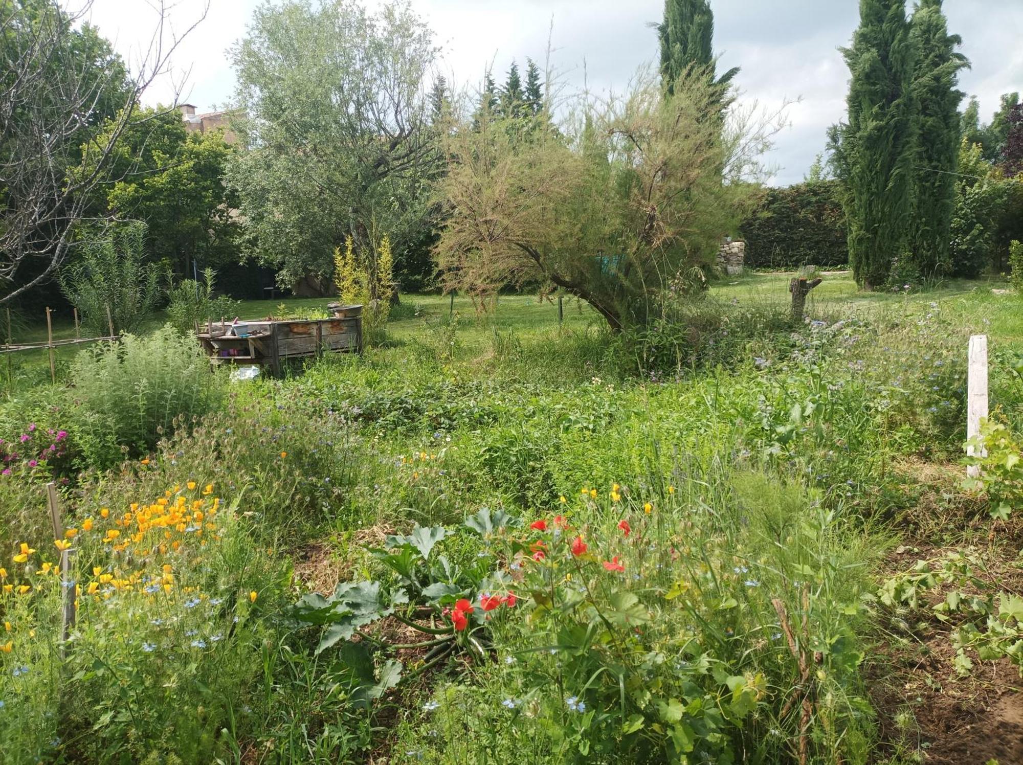 Bed and Breakfast Campagne De Pre Grand Saint-Etienne-les-Orgues Екстер'єр фото